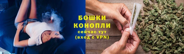 ГАЛЛЮЦИНОГЕННЫЕ ГРИБЫ Гусиноозёрск