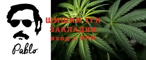 эйфоретик Гусев