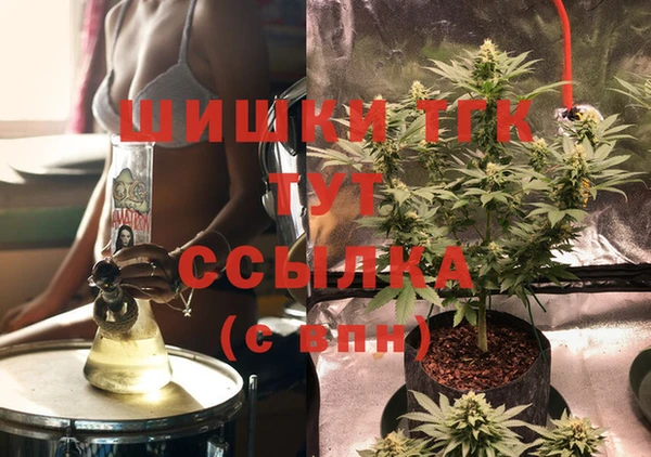 эйфоретик Гусев