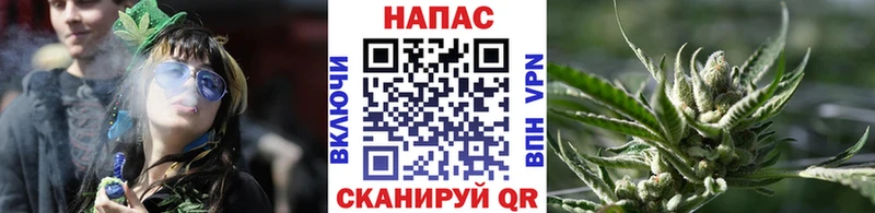 Марихуана гибрид Дагестанские Огни